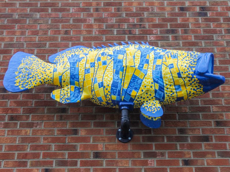 Weldon Elementary School’s Rockfish